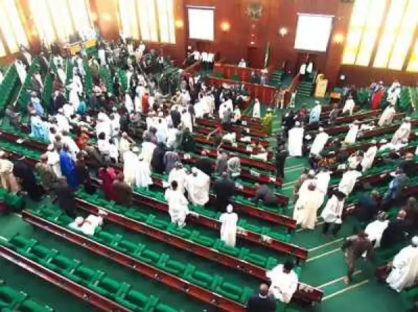 MMM Disaster: House of Reps Order EFCC to Arrest 